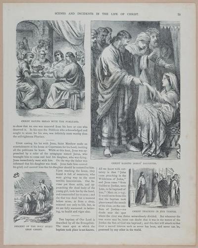 E251 - Pictorial Family Bible - 19th Century - i2549