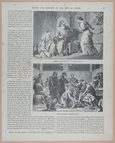 E251 - Pictorial Family Bible - 19th Century - i2553