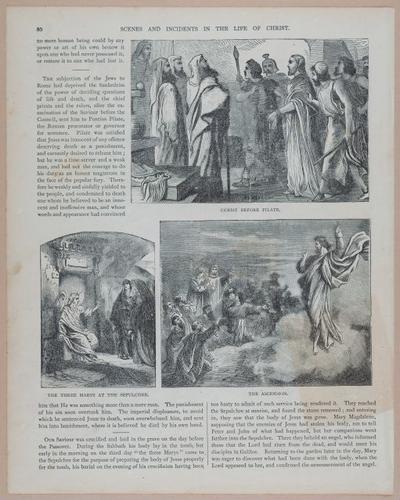 E251 - Pictorial Family Bible - 19th Century - i2556