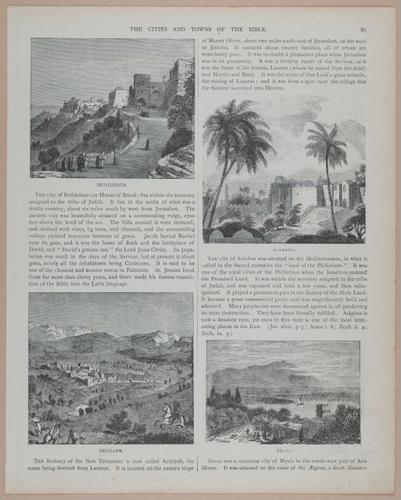 E251 - Pictorial Family Bible - 19th Century - i2567