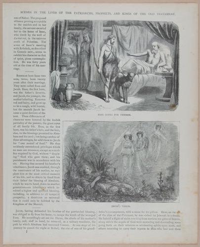 E251 - Pictorial Family Bible - 19th Century - i2573