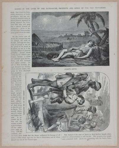 E251 - Pictorial Family Bible - 19th Century - i2574