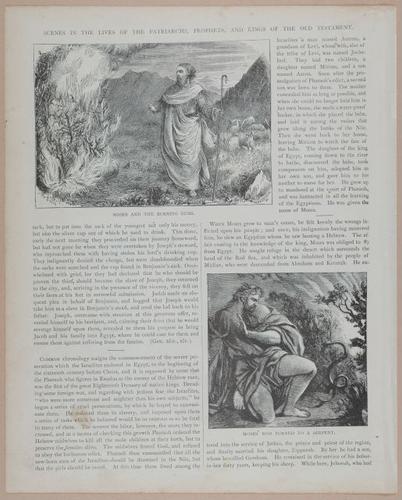E251 - Pictorial Family Bible - 19th Century - i2576