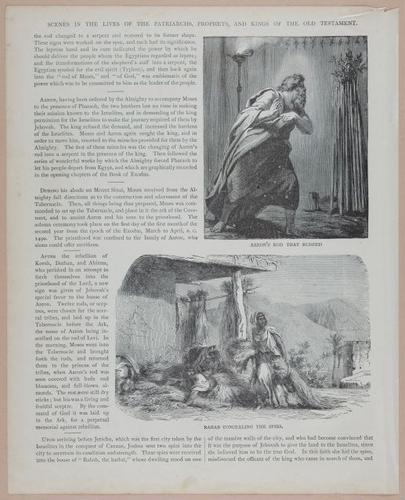 E251 - Pictorial Family Bible - 19th Century - i2578