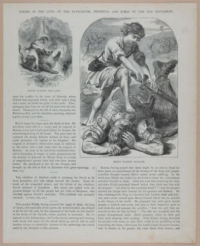 E251 - Pictorial Family Bible - 19th Century - i2583