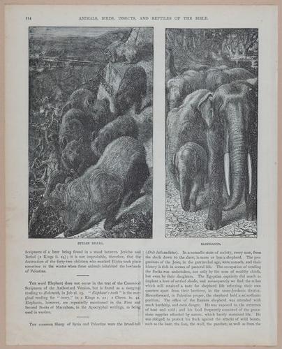 E251 - Pictorial Family Bible - 19th Century - i2590