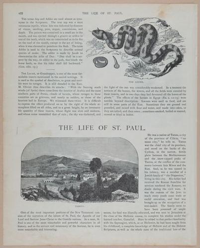 E251 - Pictorial Family Bible - 19th Century - i2598