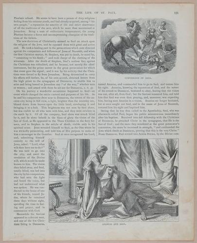 E251 - Pictorial Family Bible - 19th Century - i2599
