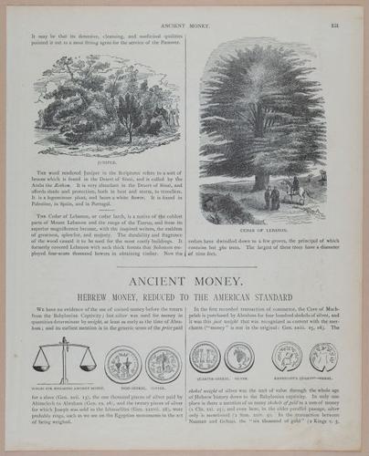 E251 - Pictorial Family Bible - 19th Century - i2607