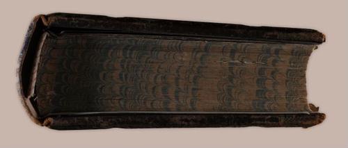 E251 - Pictorial Family Bible - 19th Century - i2641