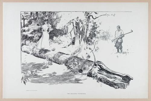  E252 - Sketches and Cartoons by Charles Dana Gibson, 1898 - 2712
