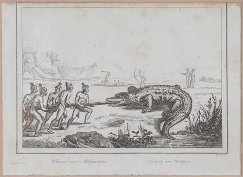 E255 - Etas Unis , 1837 - 2856