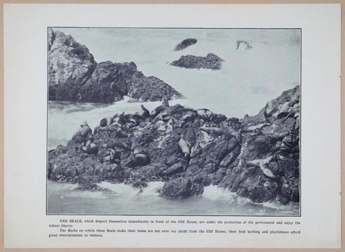 E257 - San Francisco and California - 1906 - i2920