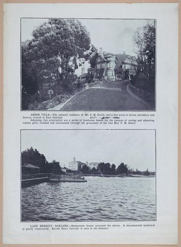 E257 - San Francisco and California - 1906 - i2954