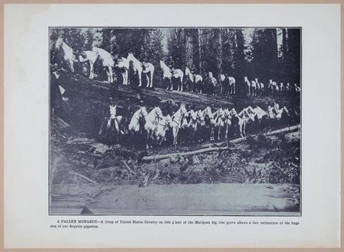 E257 - San Francisco and California - 1906 - i2973
