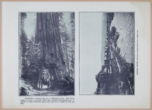 E257 - San Francisco and California - 1906 - i2974