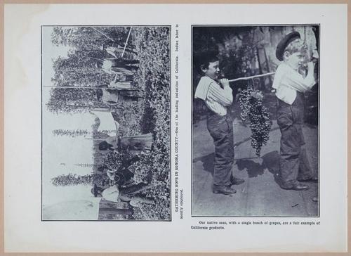 E257 - San Francisco and California - 1906 - i2975