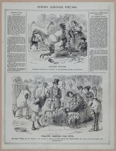 E258 - Punch's Almanac - 1842-1861 - i3210