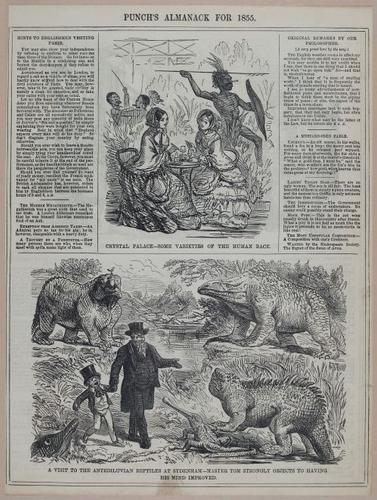 E258 - Punch's Almanac - 1842-1861 - i3224