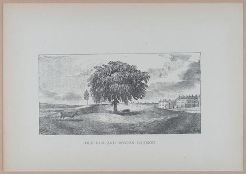 E262 - Antique Views of Ye Towne of Boston - 1882 - i3684