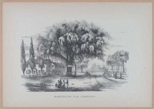 E262 - Antique Views of Ye Towne of Boston - 1882 - i3752