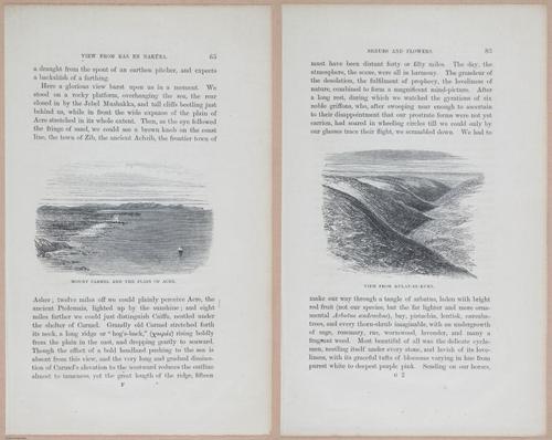 E263 - The Land of Israel - 1866 - 3910-3912