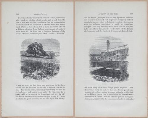 E263 - The Land of Israel - 1866 - 3947-3948