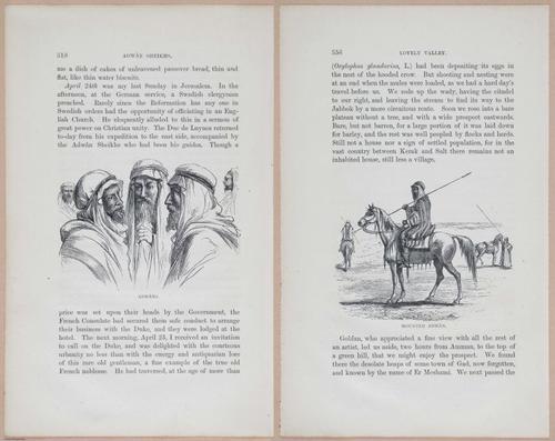E263 - The Land of Israel - 1866 - 3955-3961