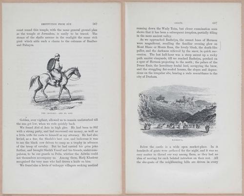 E263 - The Land of Israel - 1866 - 3964-3965