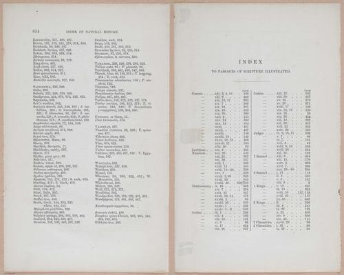 E263 - The Land of Israel - 1866 - 3984-3985