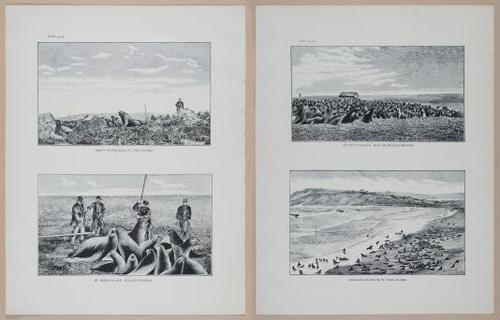E266 - Report of the Cruise of the Steamer Corwin in the Arctic Ocean - 1885 - 4024-4026