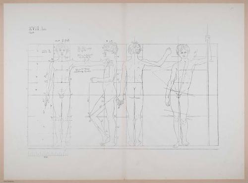 E274 - Atlas Zu Polyclet, 1877 - 4635