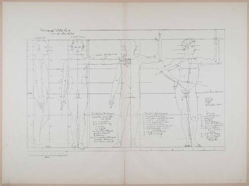 E274 - Atlas Zu Polyclet, 1877 - 4636