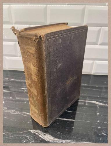 E287 - History of the Rebellion 1866 - 6685