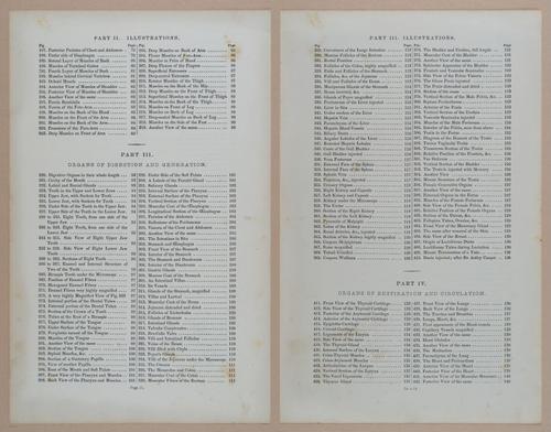 E309 - Anatomical Atlas - 8082-8083