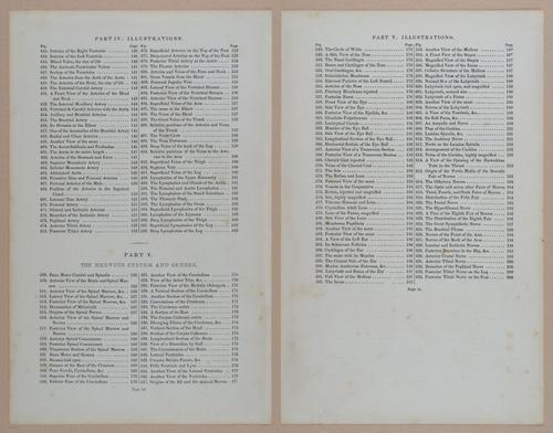 E309 - Anatomical Atlas - 8086-8087