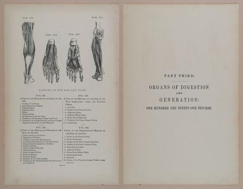 E309 - Anatomical Atlas - 8160-8161