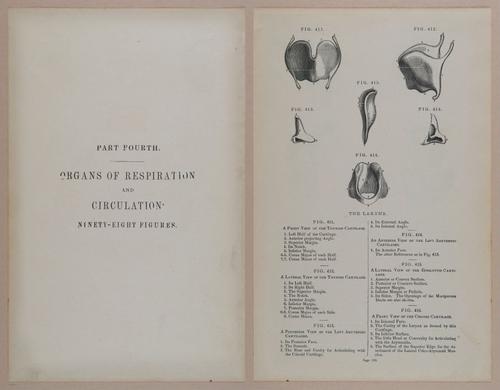 E309 - Anatomical Atlas - 8200-8201