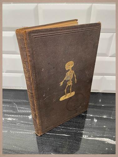 E309 - Anatomical Atlas - 7800