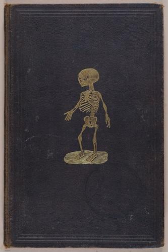 E309 - Anatomical Atlas - 8269