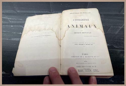 E312 - L'Intelligence Des Animaux - 7794