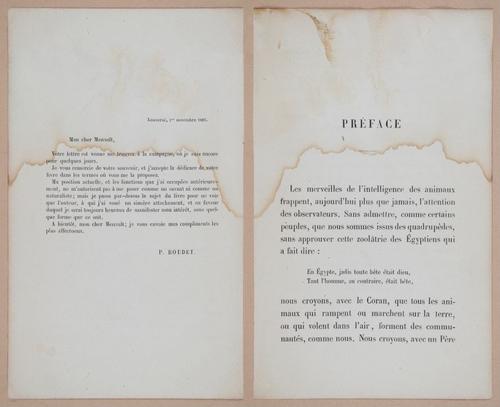 E312 - L'Intelligence Des Animaux - 8481-8482