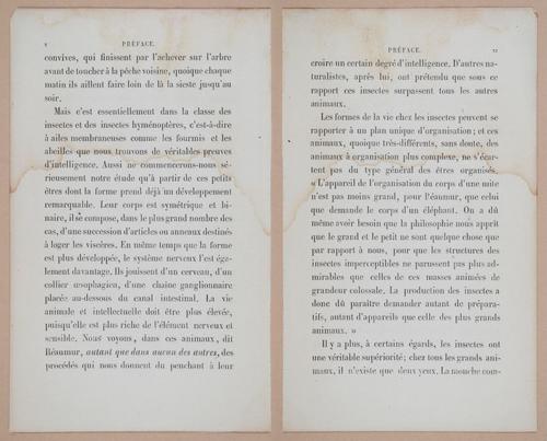 E312 - L'Intelligence Des Animaux - 8489-8490