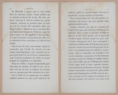 E312 - L'Intelligence Des Animaux - 8493-8494