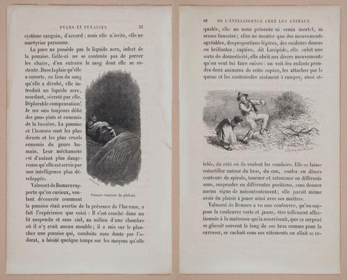 E312 - L'Intelligence Des Animaux - 8505-8506
