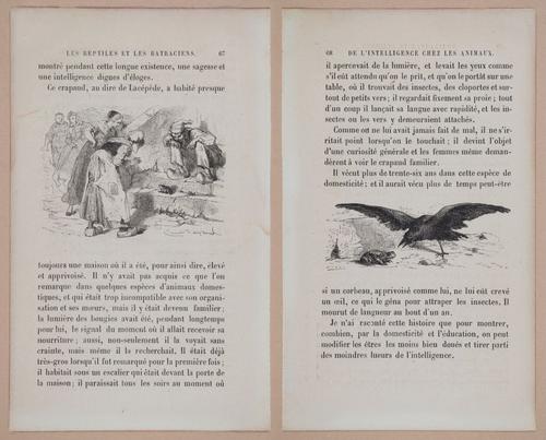 E312 - L'Intelligence Des Animaux - 8509-8510