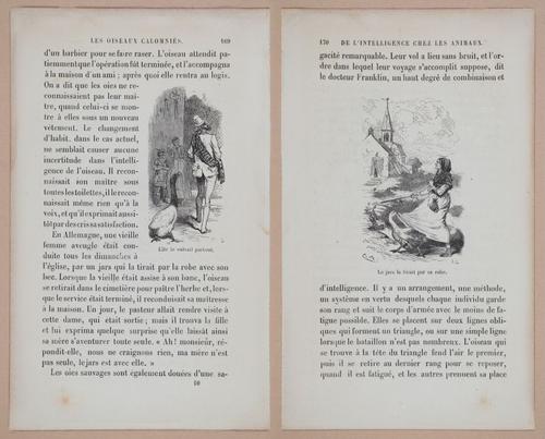 E312 - L'Intelligence Des Animaux - 8526-8527