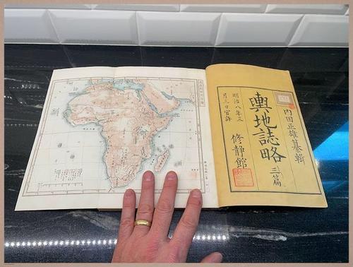 E314 - Japanese Africa 1880 - 8142