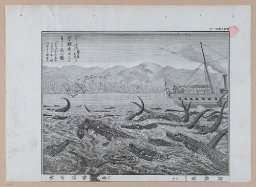 E314 - Japanese Africa 1880 - 8603