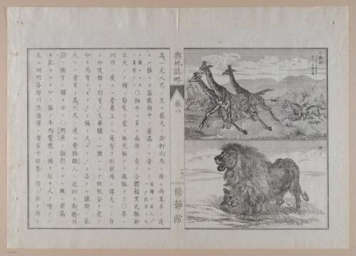 E314 - Japanese Africa 1880 - 8605